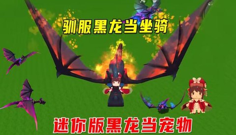 迷你世界怎么制作黑龙[图2]
