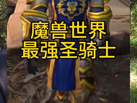 魔兽世界骑士怎么样