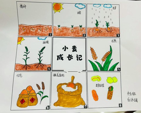 迷你世界小麦怎么种[图2]