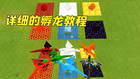 我的世界怎么找龙蛋