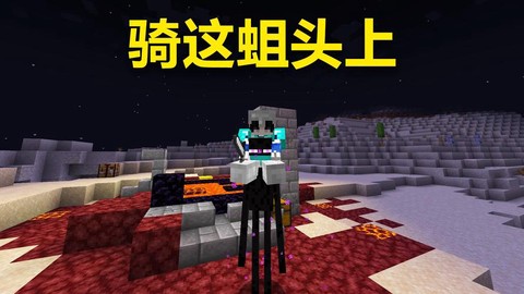 我的世界怎么养末影人