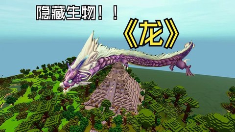 迷你世界中龙吃什么