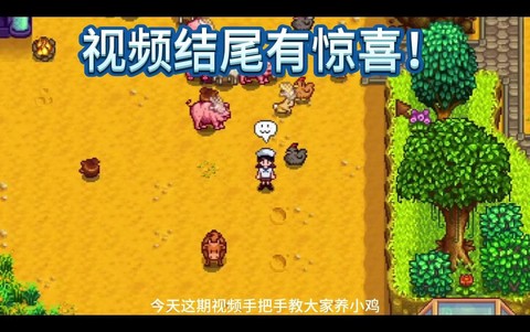 星露谷物语小鸡怎么喂