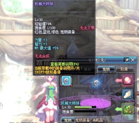 dnf3s宠物是什么