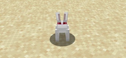 我的世界兔子吃什么[图2]